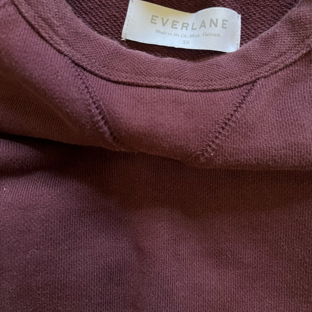 Everlane Burgundy Sweatshirt